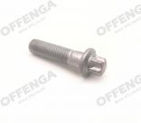 ASA-schroef (torx) M10X40 t.b.v. versnellingsbak bevestiging