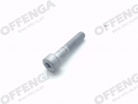 Torx bout M10x50 (t.b.v. spanrol)