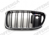 Grille links F10 M5